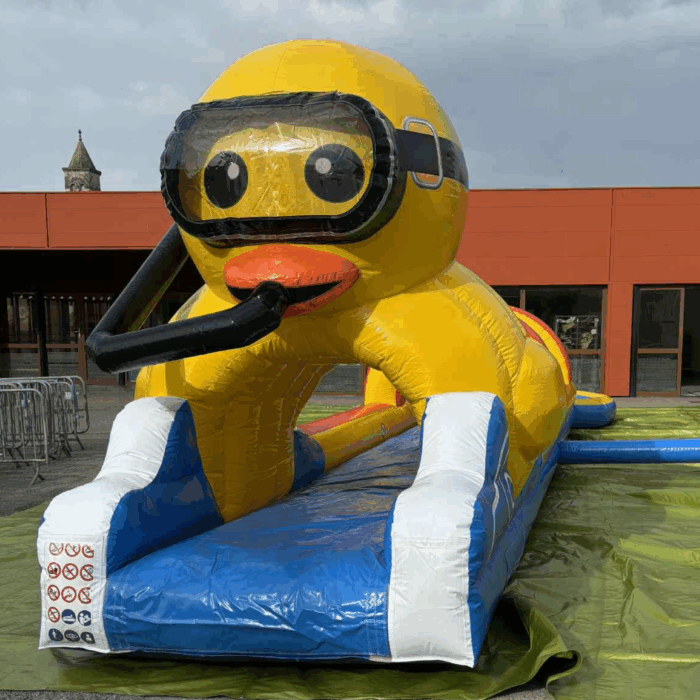 Ventreglisse canard