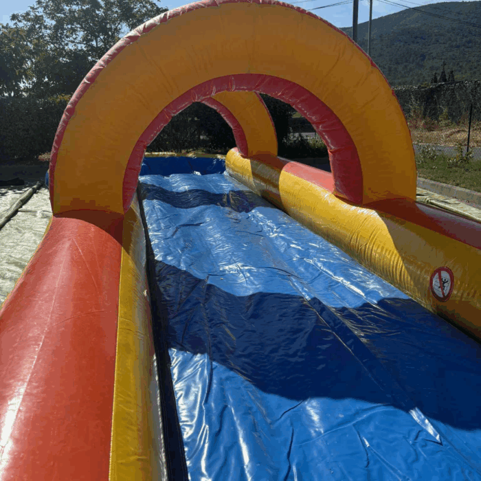 Ventreglisse canard – Image 5