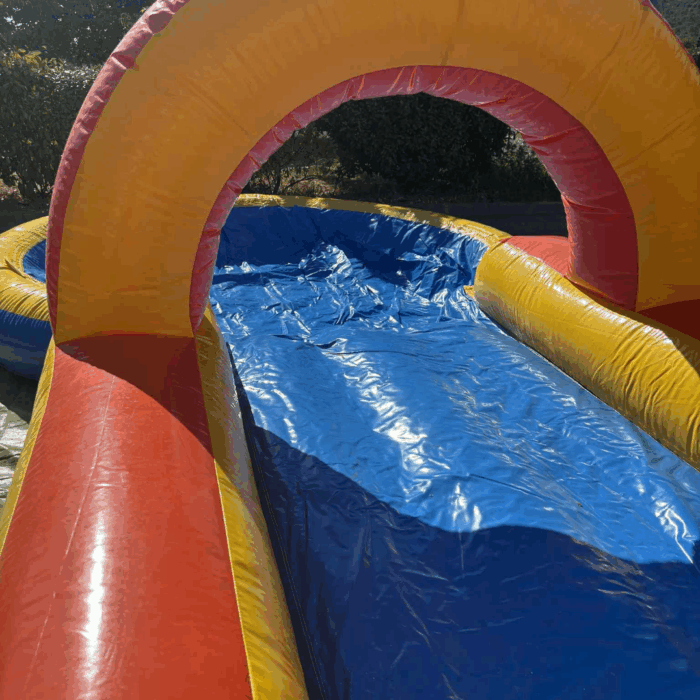 Ventreglisse canard – Image 6