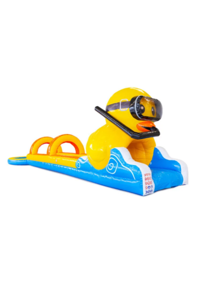 Ventreglisse canard