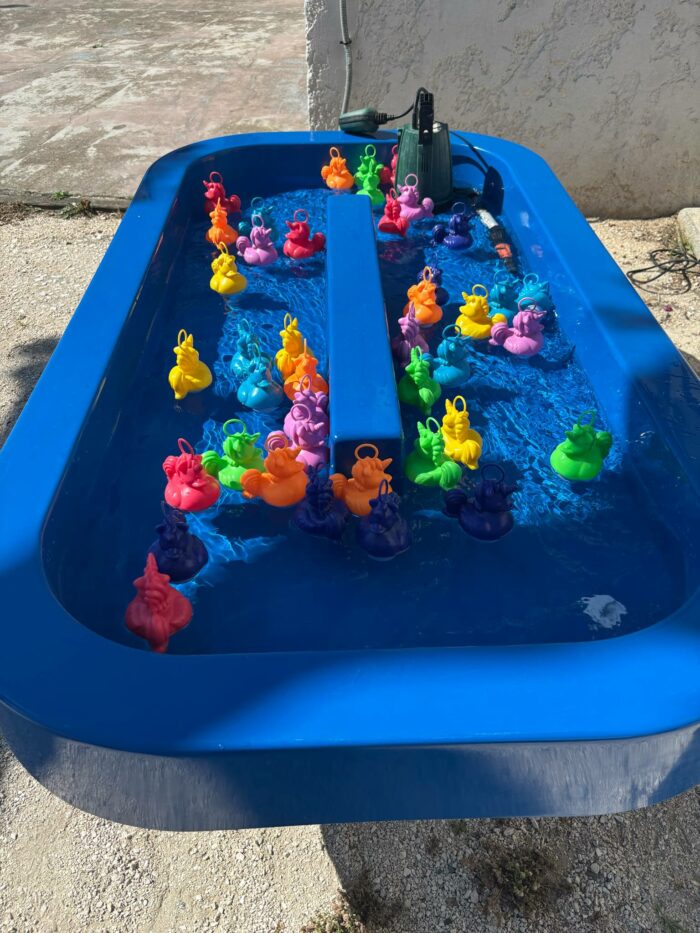 Pêche aux canards